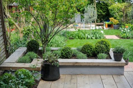 Making a raised bed  110512 11052012 11/05/12 11/05/2012 11th May 2012 Matthew Wilson Garden Project photographer Jason Ingram  make making raised bed planting Lavandula  Lavender  Buxus sempervirens  Box ball  Amelanchier